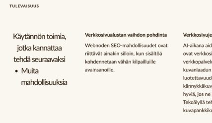 Ote hakukoneoptimoinnin raportista, jossa kerrotaan käytännön ehdotuksia jatkotoimenpiteiksi.